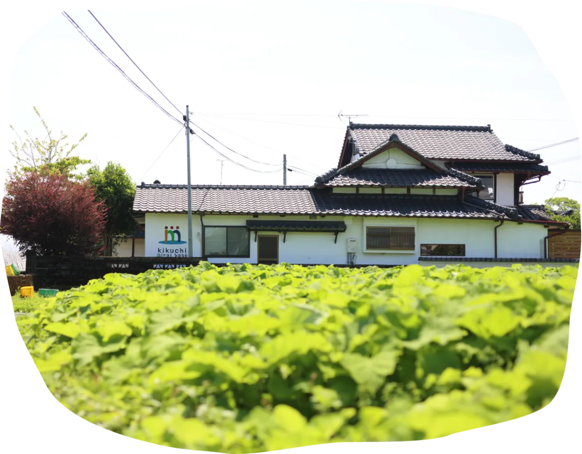 菊池みらいベースの古民家と田園